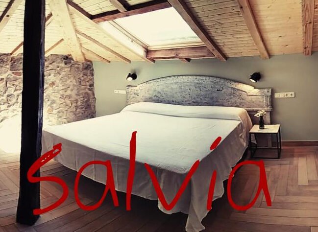salvia peq